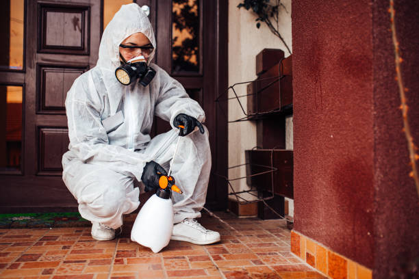 Reliable Termite Control contractor in Lake Forest, CA by Nex Pest Control